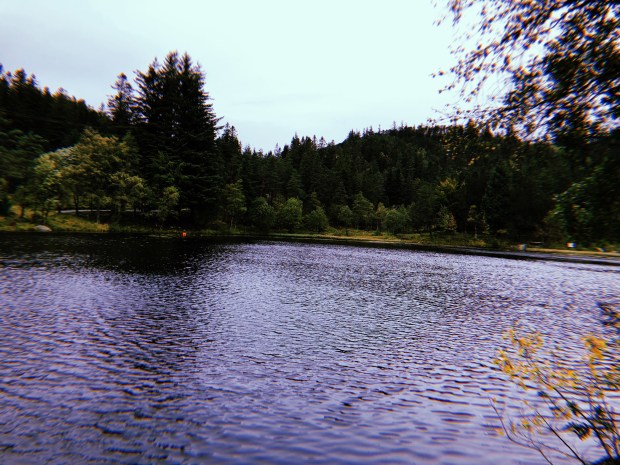 2018-09-16 10:27:00.203.jpg