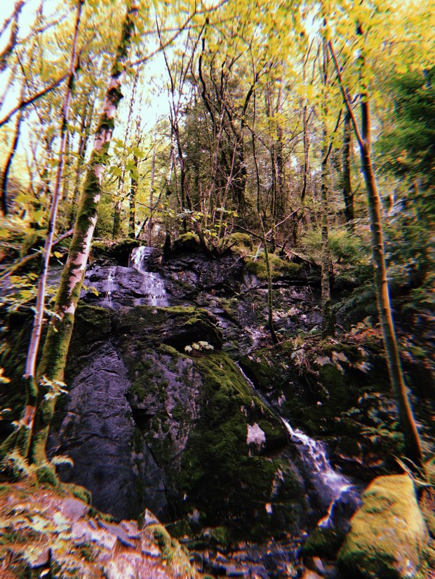 2018-09-16 11:30:22.922.jpg